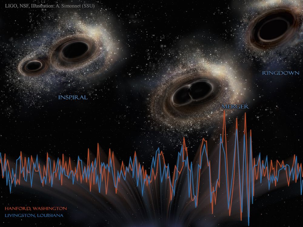 Live Science (www.livescience.com)